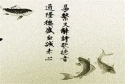 孕妇梦见拜菩萨求闺女解梦
